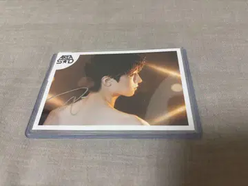 SUPER DRAGON 후루카와 타케시 사인 포함 브로마이드