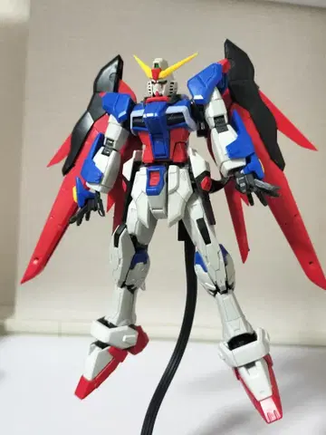 RG 데스티니