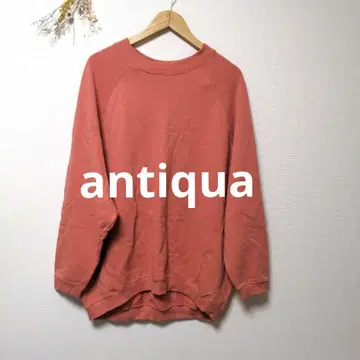antiqua patterntorso 안티카 트레이닝복 상의 무지