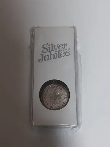 BUMP OF CHICKEN Silver Jubilee 메달 키링