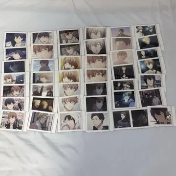 기븐 바다로 파샤코레 묶음 판매