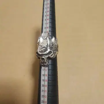 트랜스코어 프레임스컬 반지