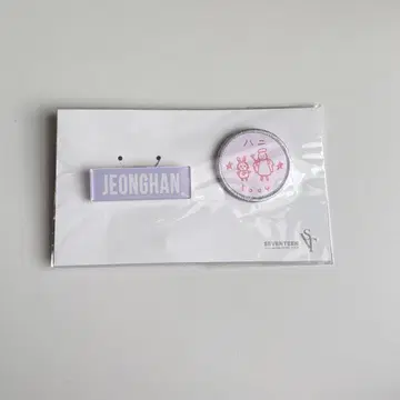 SEVENTEEN 정한 와펜