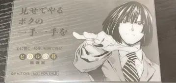 히카루의 바둑
