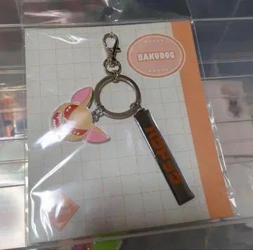 히로아카 바쿠고 카츠키 바쿠독 참