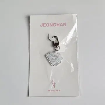 SEVENTEEN 정한 svt 다이아몬드 참