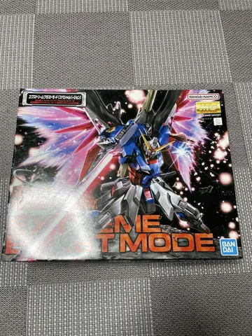 MG 데스티니 건담