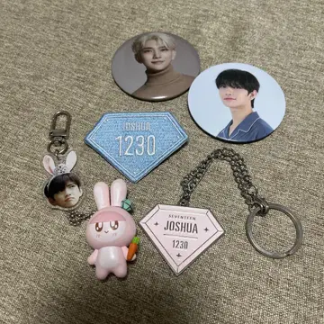 SEVENTEEN 세븐틴 캔 배지 조슈아 키링 봉봉이