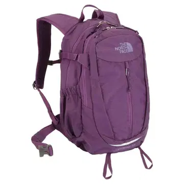 THE NORTH FACE GEMINI20 백팩 보라색