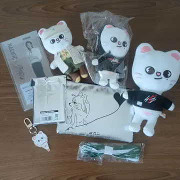 Straykids 여러 굿즈