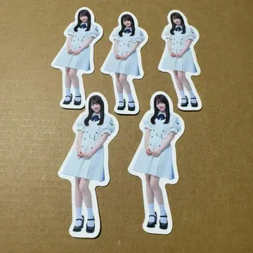 노기자카46 신참자 스티커 5장 세트 낱개 판매 불가 아타고 코코