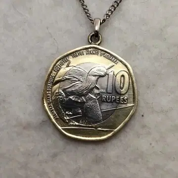알다브라 육지거북 세이셸 코인 목걸이