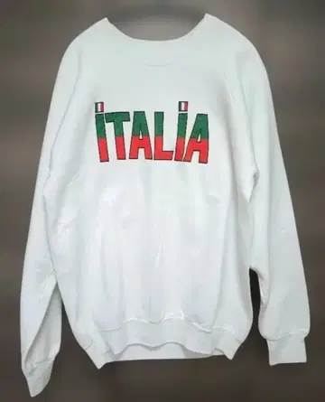 90s 프룻 오브 더 룸 속기모 맨투맨 ITALIA 미국제