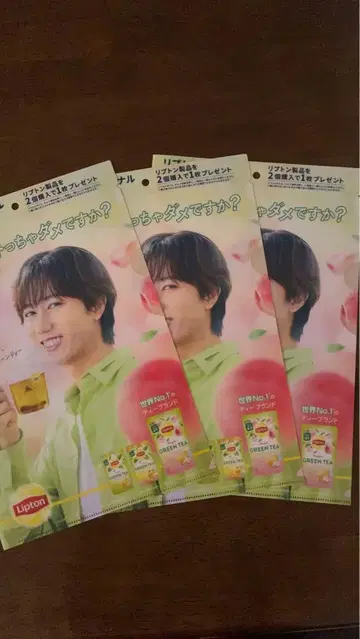 Lipton 후르츠 디자인 클리어 파일 3장 세트