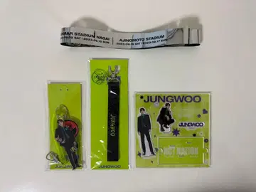 NCT NATION 굿즈 은색 테이프 정우 묶음 판매 4세트