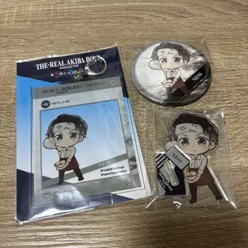 REAL AKIBA BOYZ x 스이파라 네스