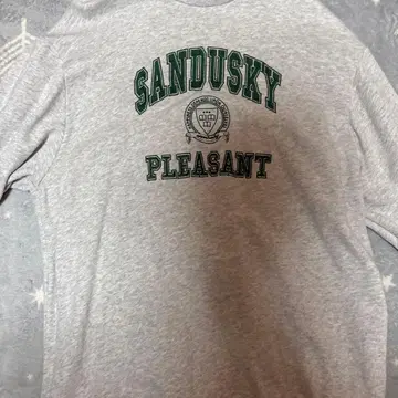 SANDUSKY PLEASANT 그레이 스웨트 셔츠