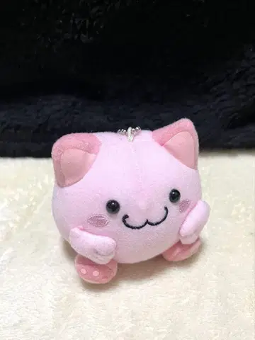 마루네코 클럽 마스코트