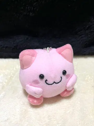 마루네코 클럽 마스코트