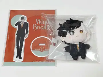 윈브레 Dress up 사쿠라 하루카 세트