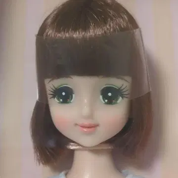 엄선 2021년 니혼바시 BASIC 초대 제니 리카짱 캐슬 새상품