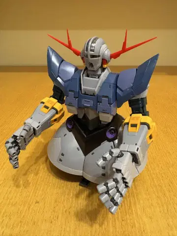 RG 1/144 지옹