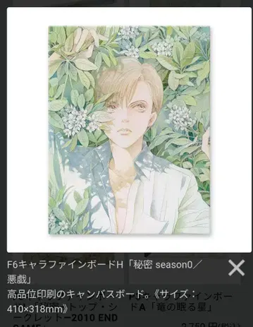 시미즈 레이코 원화전 굿즈 캔버스 비밀 아트