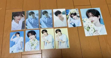 tws 신유 트레이딩 카드