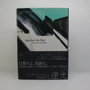 역광 아래
