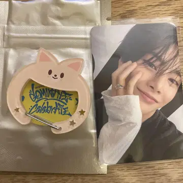 Stray Kids 폭시니 카라비너 키링 트레이딩 카드