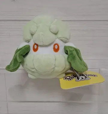 포켓몬 포켓몬 센터 Pokemon fit 몽멘