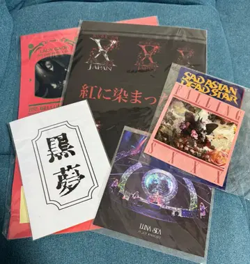 X JAPAN 블랙 LUNA SEA SADS 스티커 묶음 판매