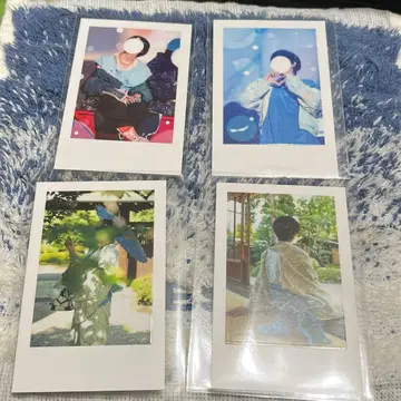 이레이스 hotoke 에비바티 축제 2025 실사 폴라로이드 컴프