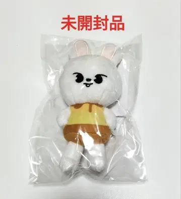 StrayKids SKZOO 백참 리빗 매니아 미개봉품