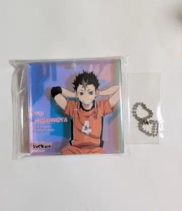 하이큐 BIG 오로라 블로키 니시노야 유우 오미쿠지 오스와리 판권