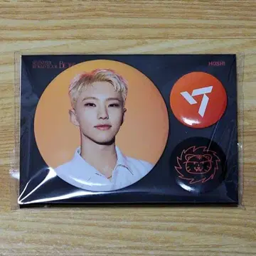 SEVENTEEN BE THE SUN 캔뱃지 호시