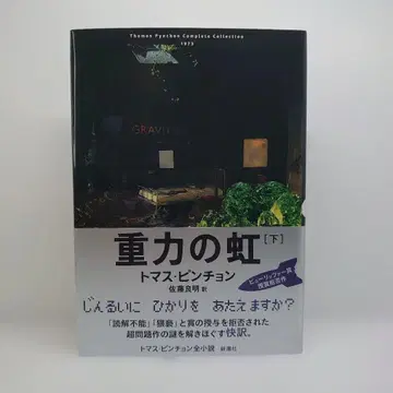 중력의 무지개 하