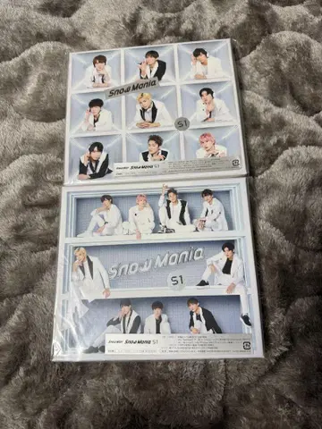 Snow Mania S1 DVD 2장 세트
