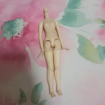 퓨어니모 프렉션 S 사이즈 바디 화이트 스킨 커스텀 화이트
