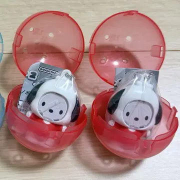 산리오 캐릭터즈 사진 프레임 마스코트 2 포차코 미개봉