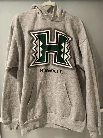 Hanes Hawaii 대학 로고 그레이 후드티