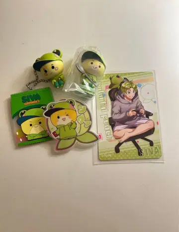 컬러풀 피치 시바 묶음 판매