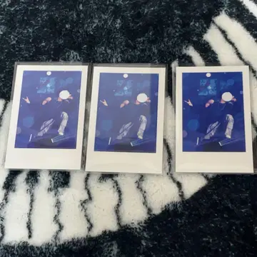 이레이스 If 실사 폴라로이드 3장 세트
