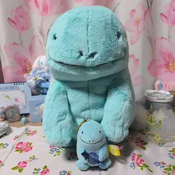 누오 2세트