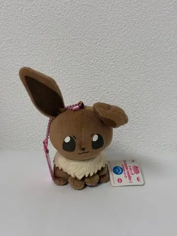 동글동글 만마루쨩 봉제 인형 & 꽃 모티브 파스텔 컬러 시리즈 이브이