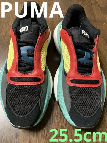 PUMA 알터레이션 커브