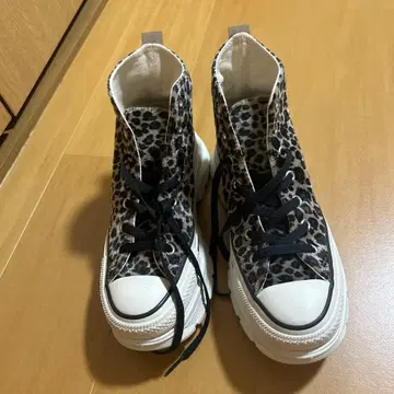 CONVERSE ALL STAR 레오파드 무늬 스니커즈 24.5cm
