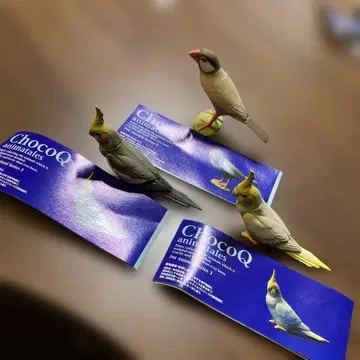ChocoQ 새 피규어 3개 세트
