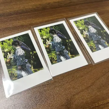이레이스 쇼 실사 폴라로이드