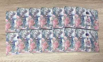 우라시마사카타센 시마 CD wedding 여름 투어 2024
